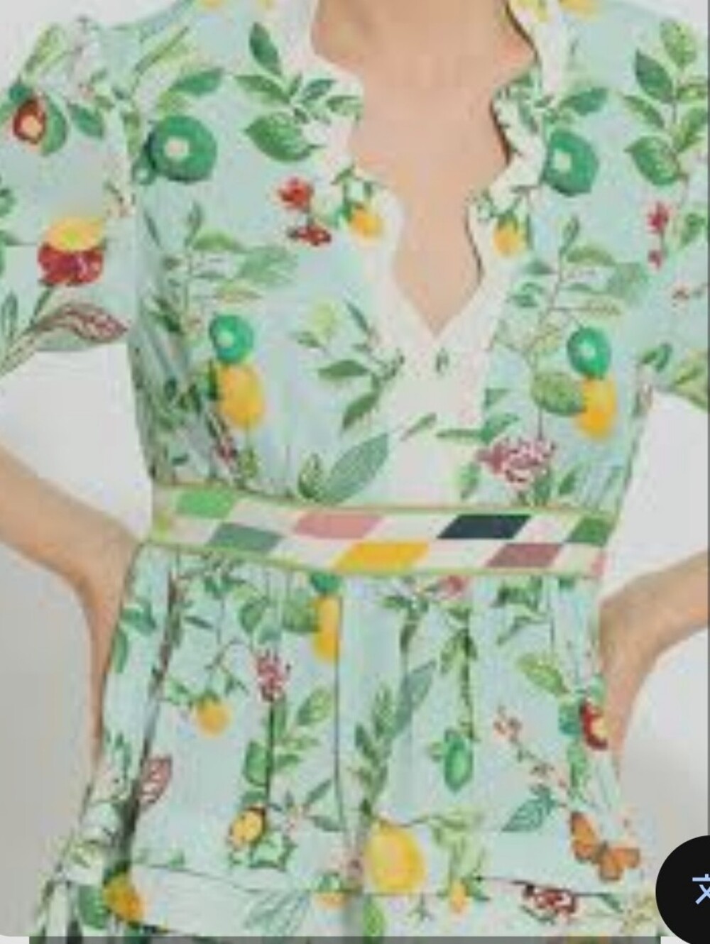 Ranna Gill Mint Green Floral & Lemon Print Dress.